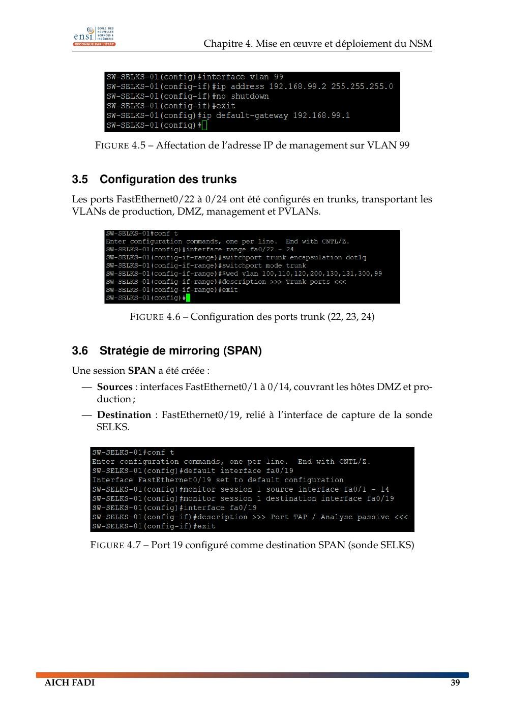 Cisco trunks and SPAN configuration