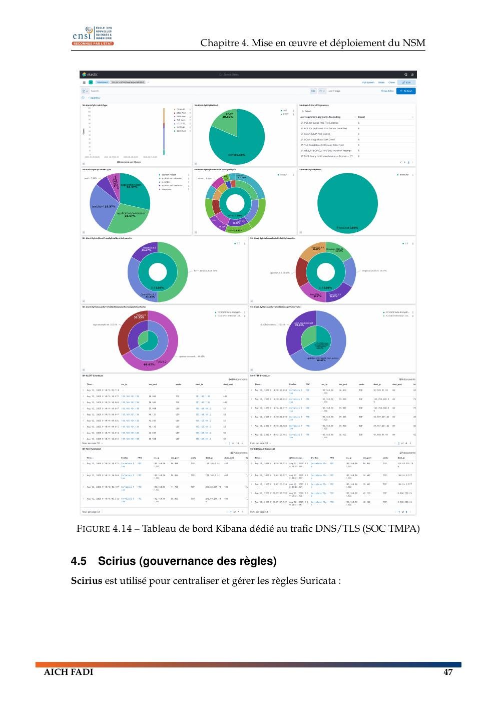 Kibana DNS TLS dashboard