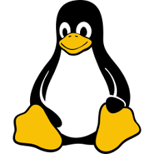 Linux Fundamentals — Essential Commands